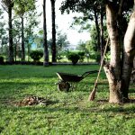 Entretien des espaces verts